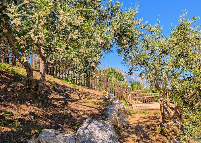 Ci Vulia B&B - Sicilia Sea, Pool, Bbq, Tv, Wi-Fi