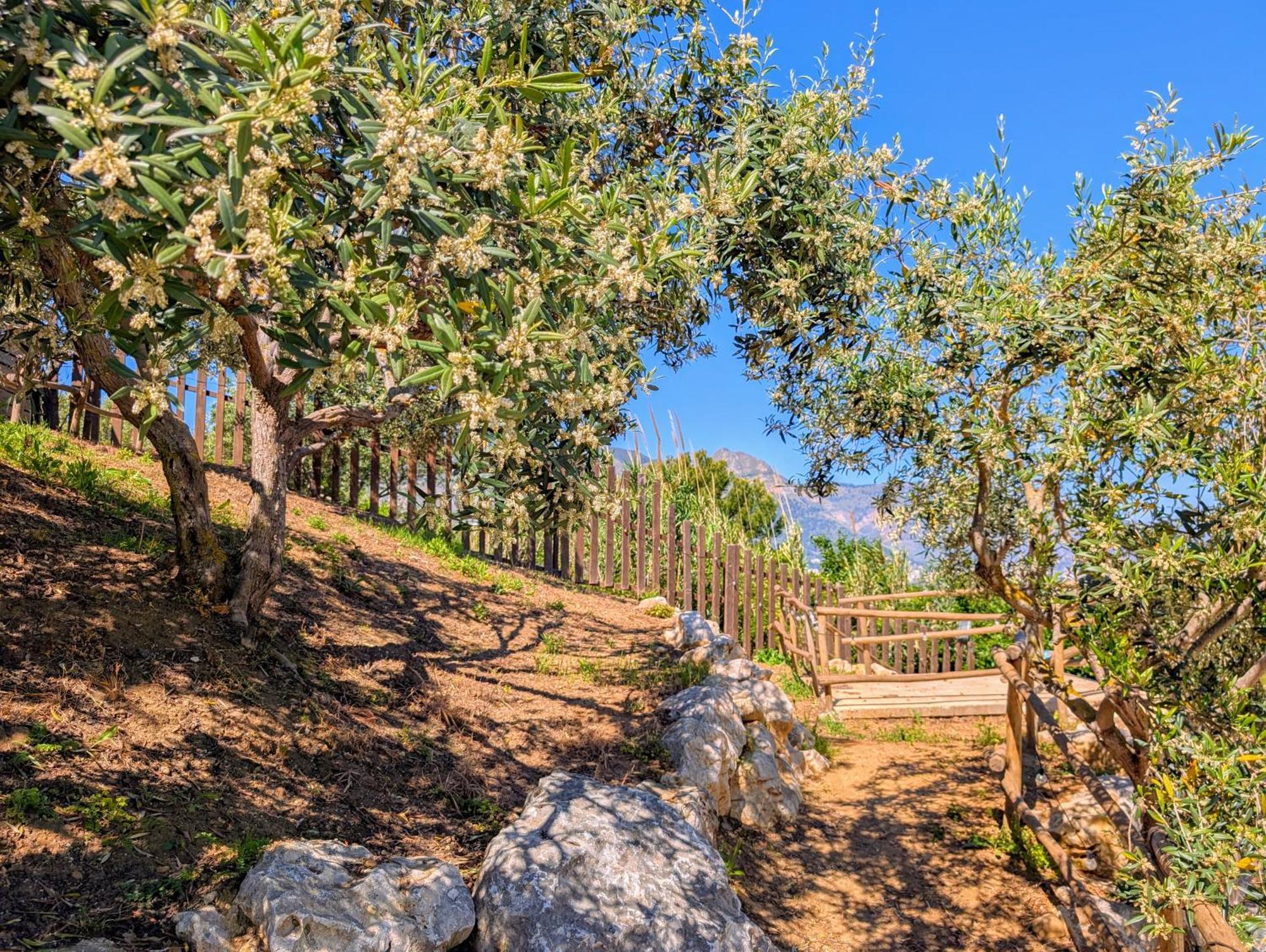 Bed and breakfast Ci Vulia - Sicilia Sea, Pool, Bbq, Tv, Wi-fi Alcamo Marina